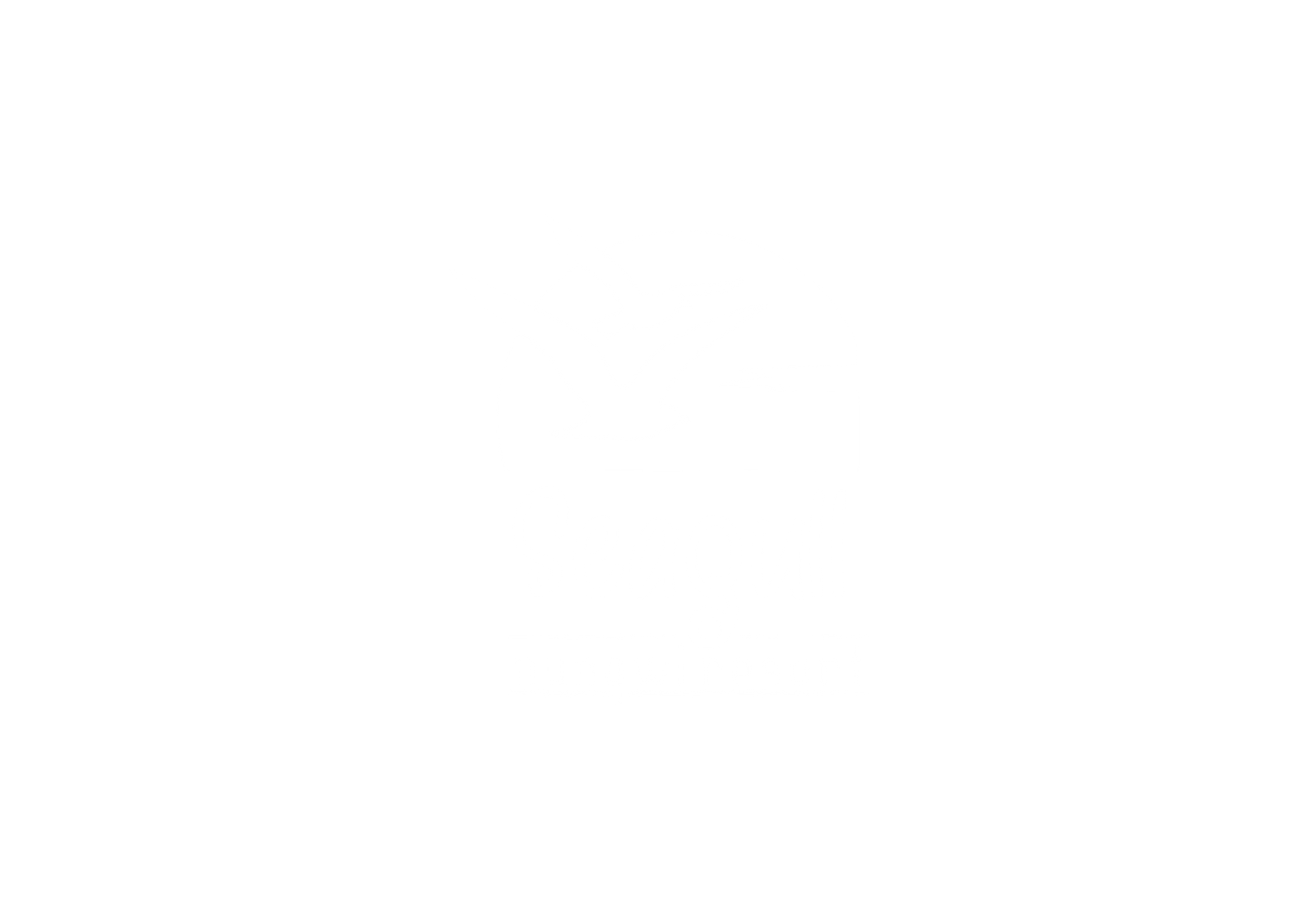 seagull